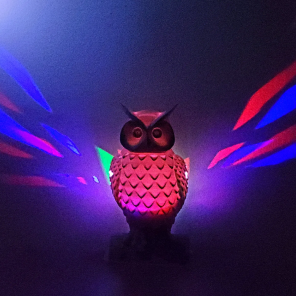 Owl Lamp