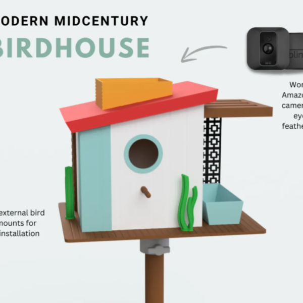 Modern Birdhouse with Hidden Terrace