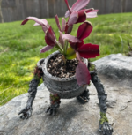 Pot Boy Planter for Home Decor